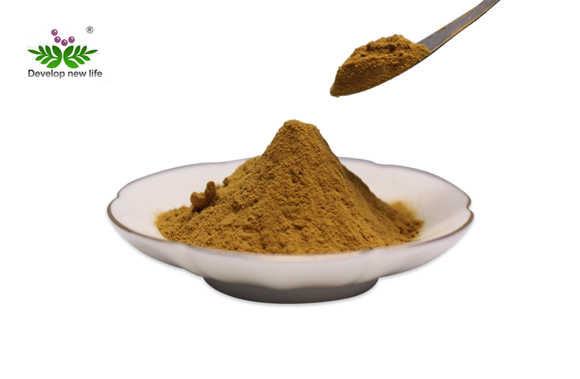 Pleurotus Citrinopileatus Extract